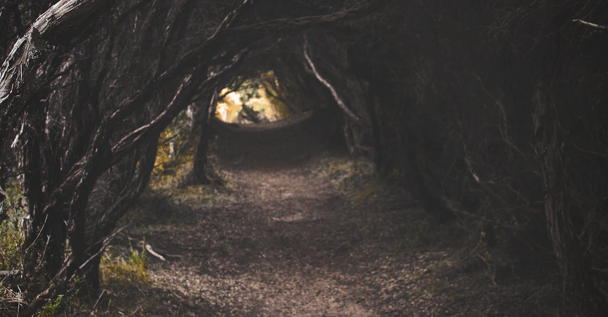 Can not going outside affect your mental health?