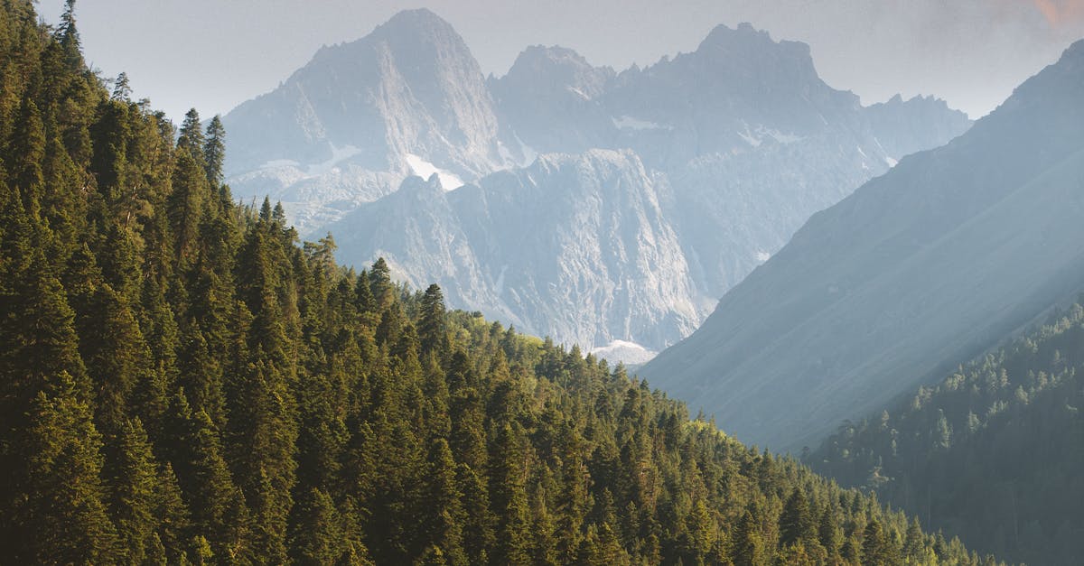 Does being outside reduce depression?