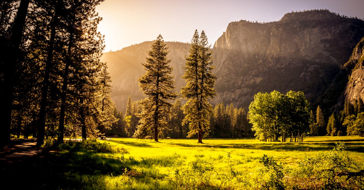 Does coming out improve mental health?