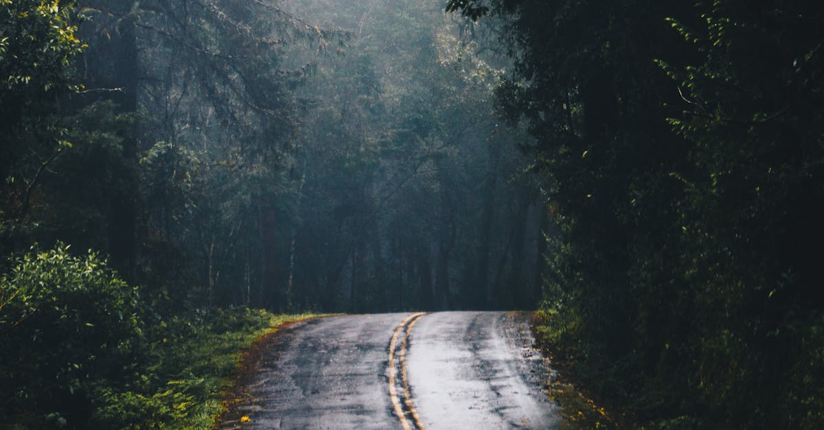 Does going outside help your brain?