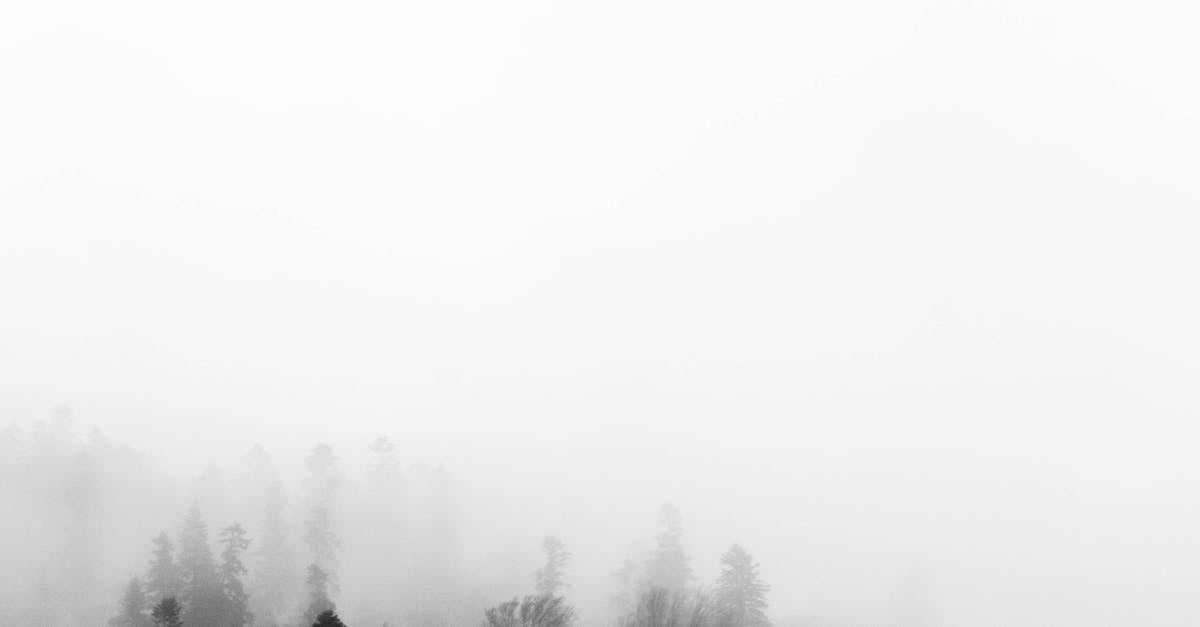 Why turning off your phone is good for your mental health?